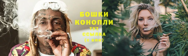 соль ск Михайлов