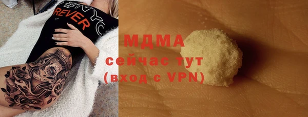 индика Михайловск
