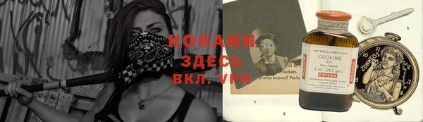 индика Михайловск
