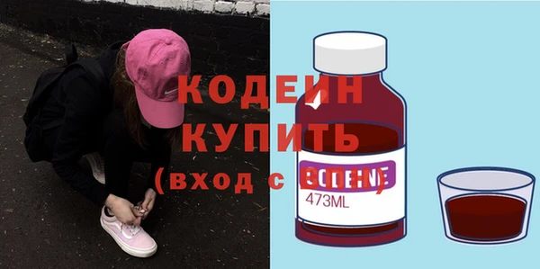 индика Михайловск