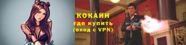 индика Михайловск