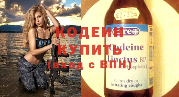 индика Михайловск