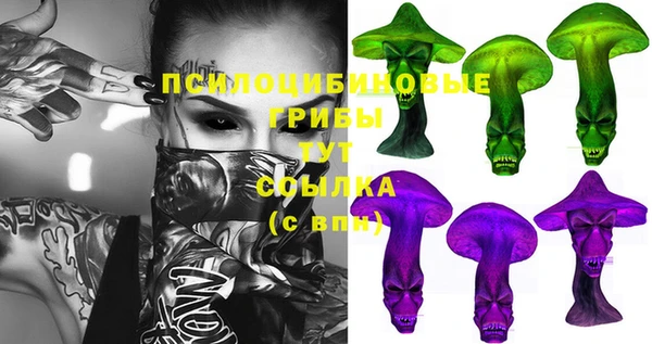 индика Михайловск
