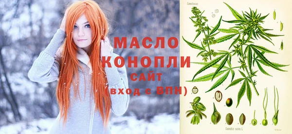 индика Михайловск