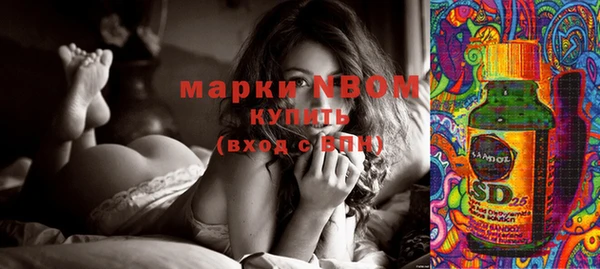 соль ск Михайлов