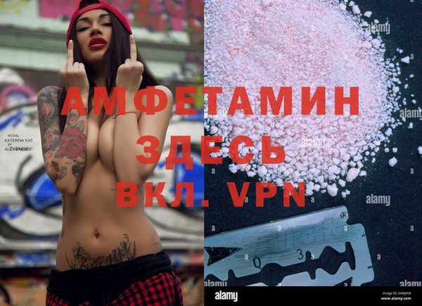 индика Михайловск