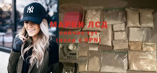 индика Михайловск