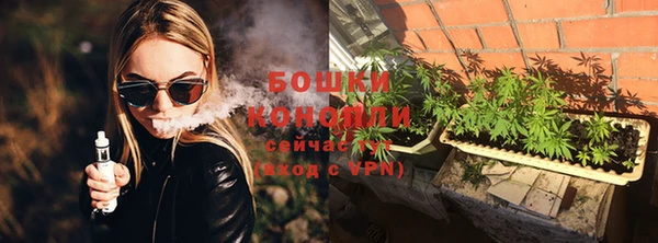индика Михайловск