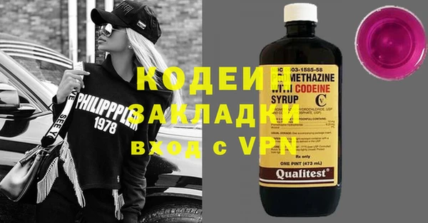 индика Михайловск