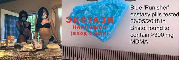 индика Михайловск