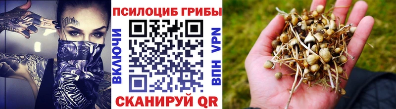 Галлюциногенные грибы MAGIC MUSHROOMS  гидра зеркало  Афипский  как найти закладки 